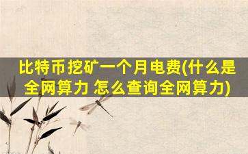 比特币挖矿一个月电费(什么是全网算力 怎么查询全网算力)